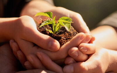 È arrivata la 2ª Newsletter di Primacenters!