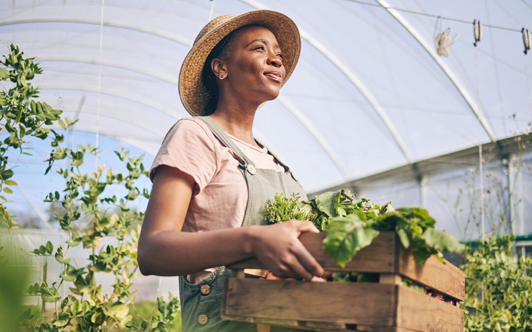 Strengthening networks for migrants’ integration in Spain