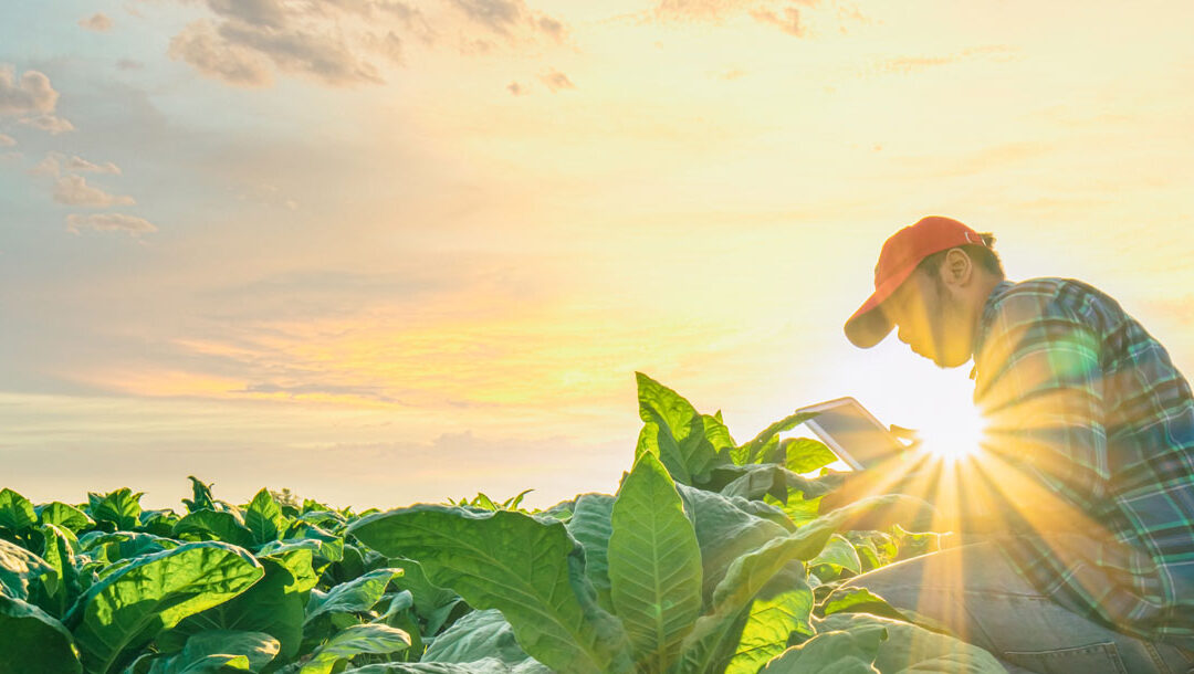 Το 1ο Newsletter των Primacenters μόλις κυκλοφόρησε!