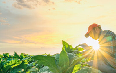 È online la 1ª Newsletter di Primacenters!