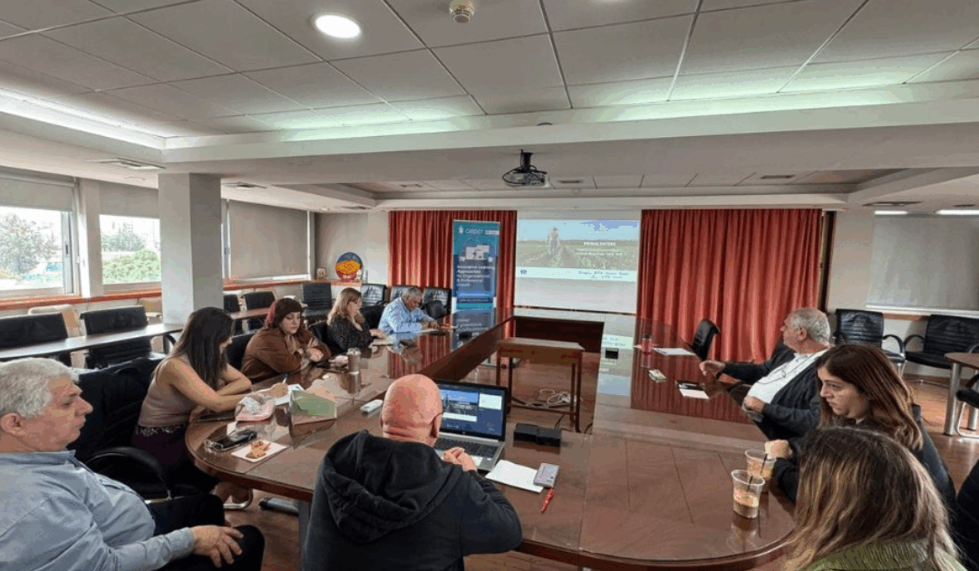 Networking to boost migrants’ integration in Cyprus